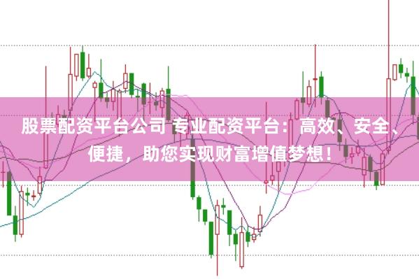 股票配资平台公司 专业配资平台：高效、安全、便捷，助您实现财富增值梦想！