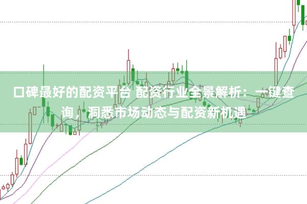 口碑最好的配资平台 配资行业全景解析：一键查询，洞悉市场动态与配资新机遇