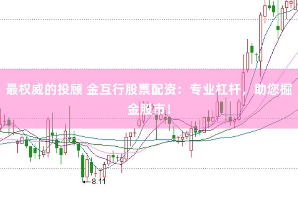 最权威的投顾 金互行股票配资：专业杠杆，助您掘金股市！