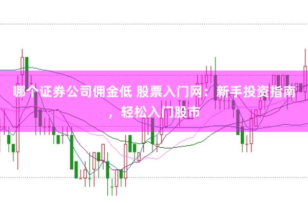 哪个证券公司佣金低 股票入门网：新手投资指南，轻松入门股市