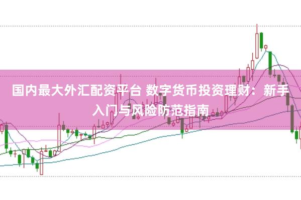 国内最大外汇配资平台 数字货币投资理财：新手入门与风险防范指南