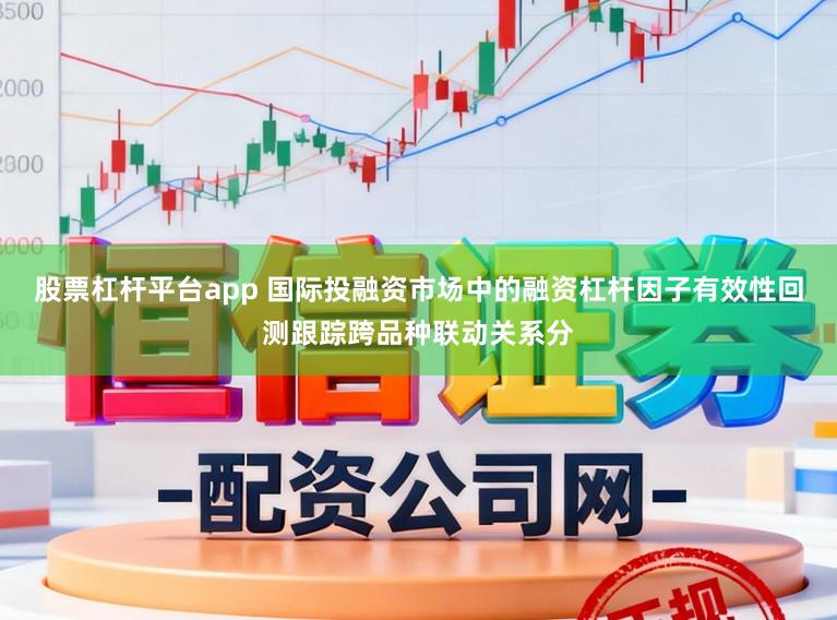 股票杠杆平台app 国际投融资市场中的融资杠杆因子有效性回测跟踪跨品种联动关系分